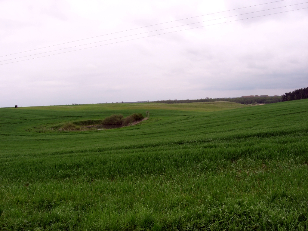 Duitsland Elly (53)